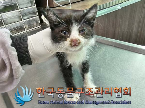 종료(자연사) 한국…